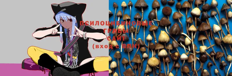 Псилоцибиновые грибы Magic Shrooms  Нарткала 